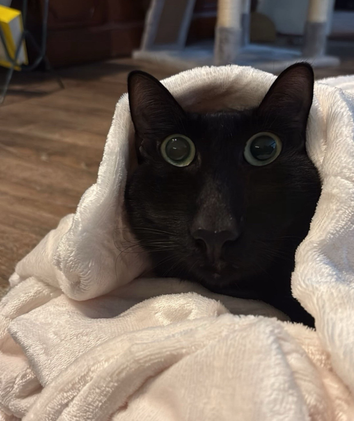 Wybie in blanket